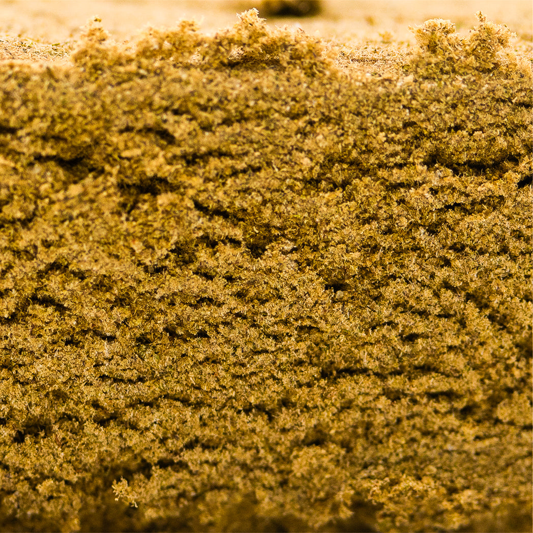 Spliff - Golden Hash - 80% CBD - Golden_hash_macro-2