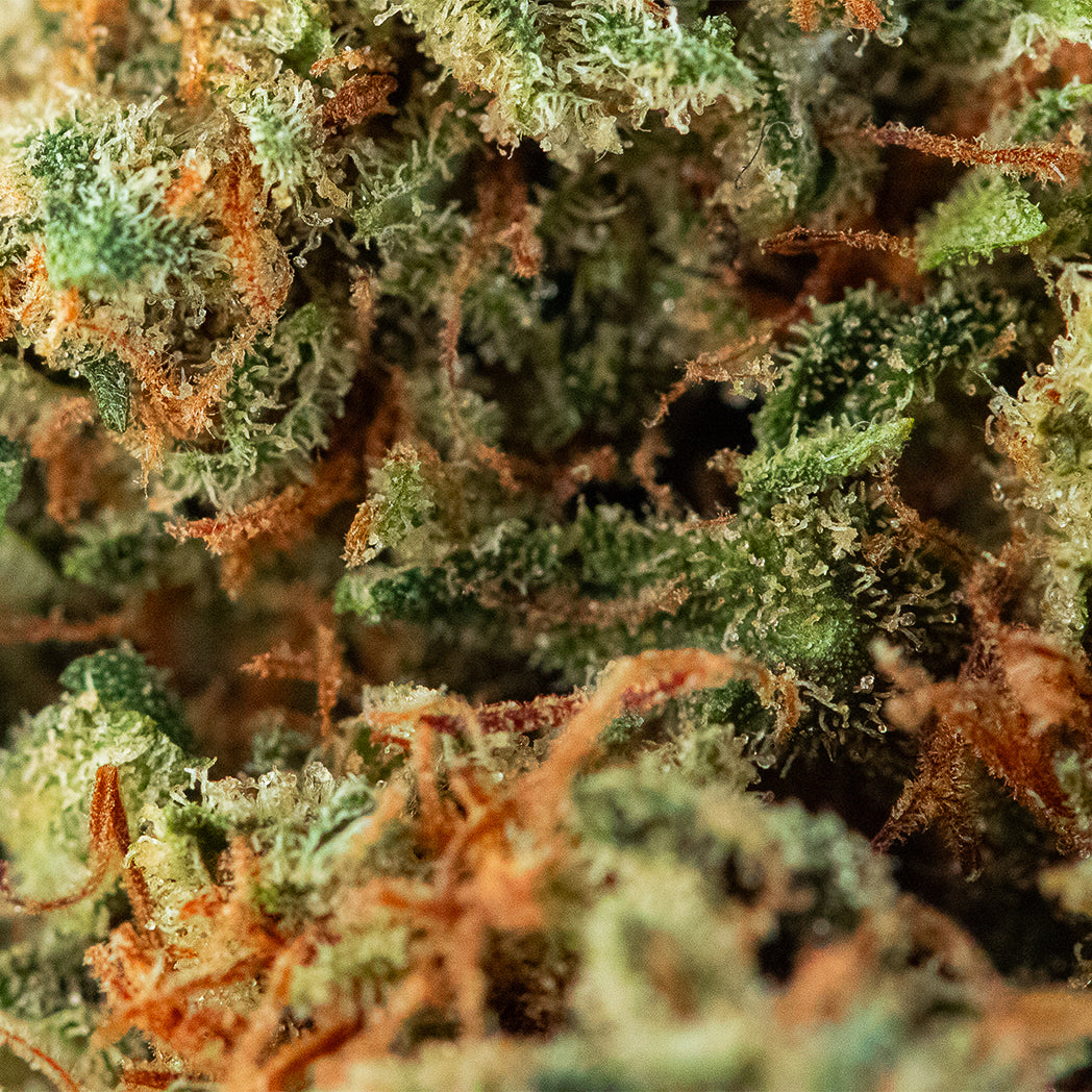 Spliff ® - Mela Sour CBD - Macro_Dussy-2