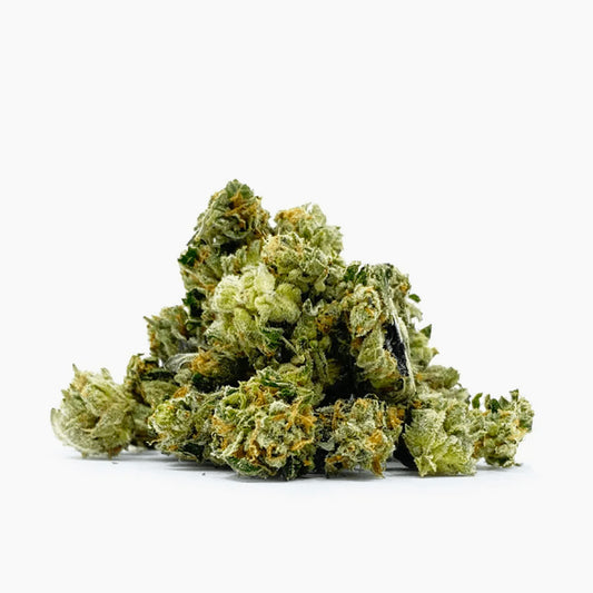 Minibud Premium Orange Bud