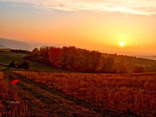 Click to view full screen Huile 20% - Full spectrum photo review