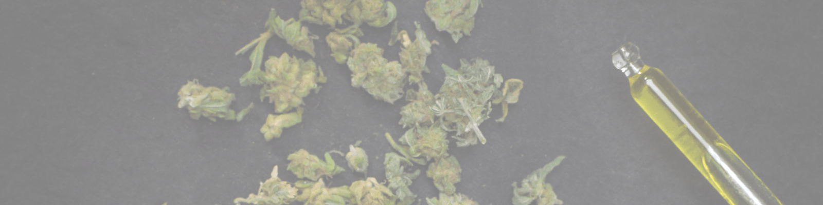 pourquoi-choisir-huile-cbd-full-spectrum-spliff