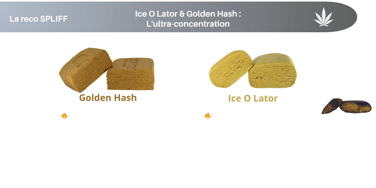 resines cbd concentrees spliff ice o lator et golden hash spliff