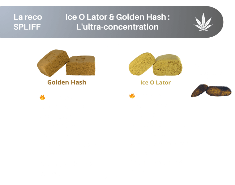 resines cbd concentrees spliff ice o lator et golden hash spliff