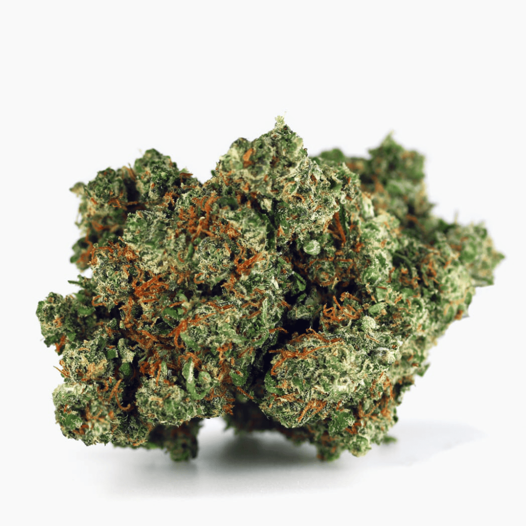 Fleur Gorilla Glue 30% THCX Qualité Premium SPLIFF saveurs pin et citron