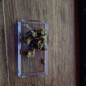 Minibud Premium Superskunk photo review