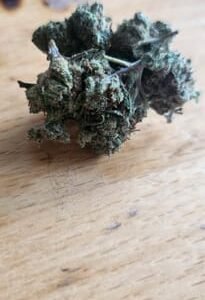 Minibud Premium Superskunk photo review