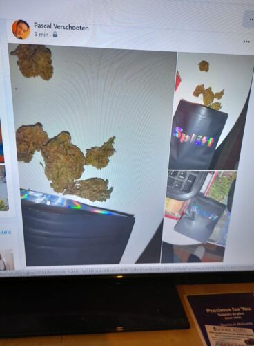 Amnesia - 25% THCX photo review