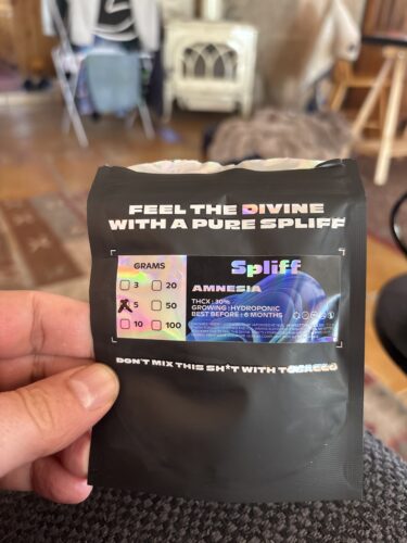 Amnesia photo review