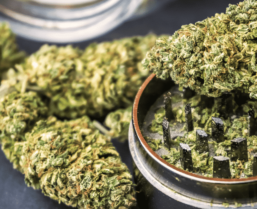 Concentré résine CBD
