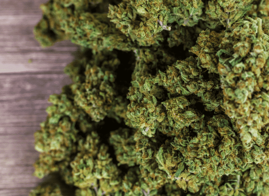 Fleur de CBD