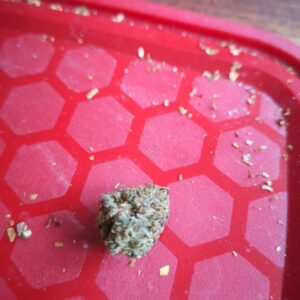 Avis client Gelato 33 avec photo - Spliff