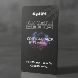 Critical Jack