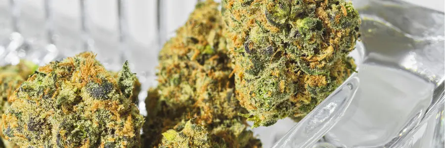 Fleurs THCX Spliff cannabis