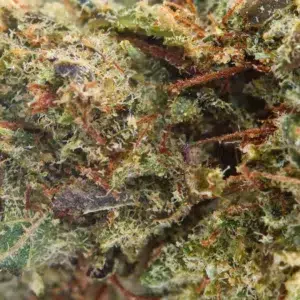 THCX Charlotte Angel Spliff