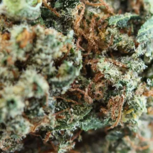 Macro critical THCX
