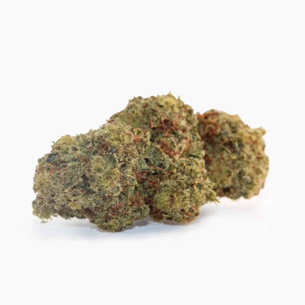 Orange Bud THCX Spliff