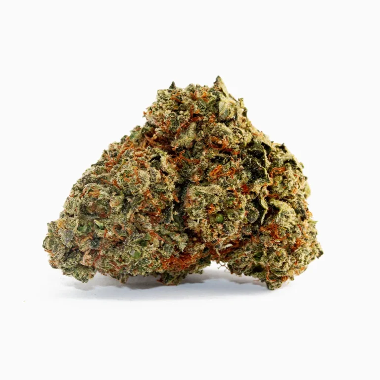 Fleur THCX Big Buddha de Spliff : tête dense et givrée aux pistils orangés, photo réelle du produit