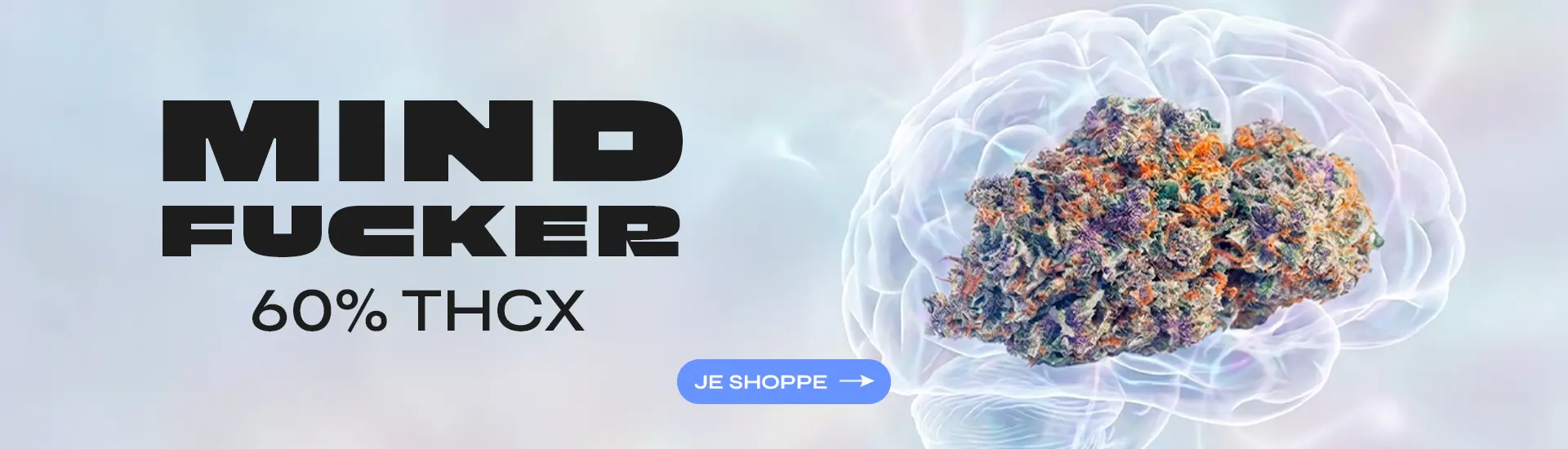 desktop-fr-1920x550-copie-8