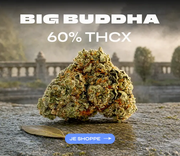 Big Buddha THCX Spliff