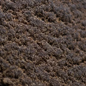 Macro de l'Afghan Hash 60% THCX, grain sec et reflets ambrés