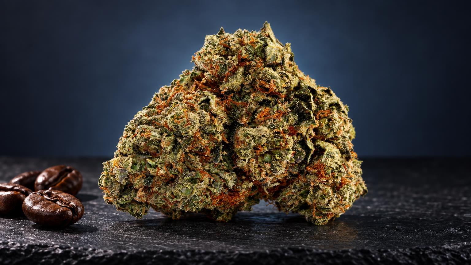 Beuh : fleur dense aux teintes vertes et orangées, couverte de cristaux brillants
