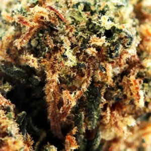 Blueberry Muffin THCX 60% – macro des trichomes et pistils cuivrés
