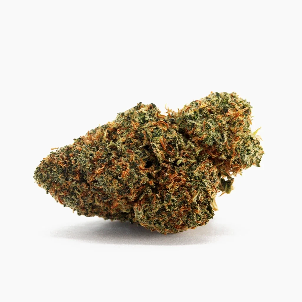 Blueberry Muffin THCX 60% – fleur givrée aux pistils orange