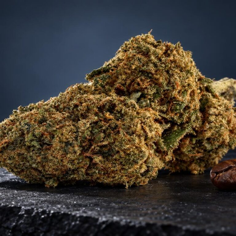 Fleur Bubba Kush dans une composition de studio