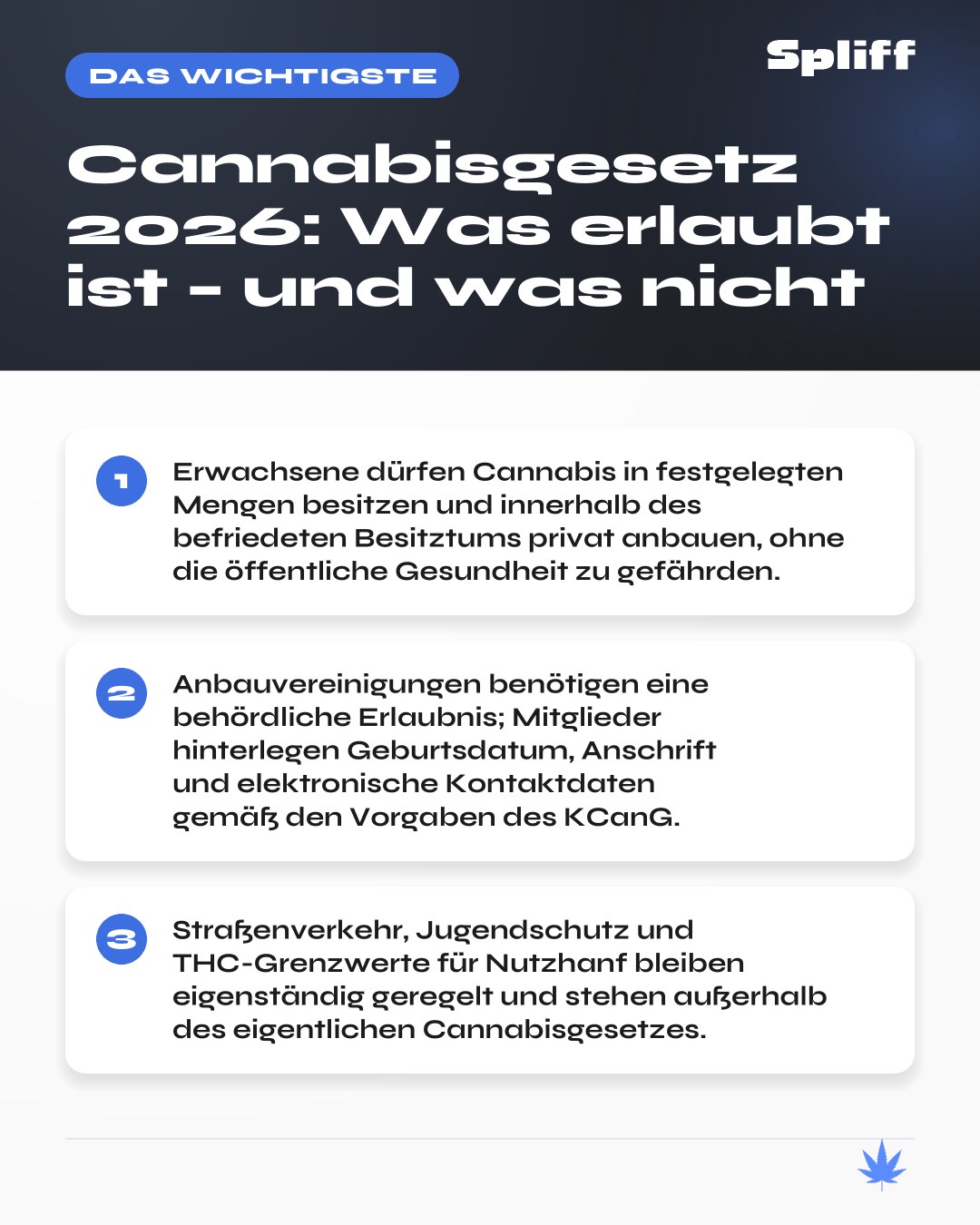 Cannabisgesetz: das Wichtigste — Erwachsene dürfen Cannabis in festgelegten Mengen besitzen und innerhalb des befriedete