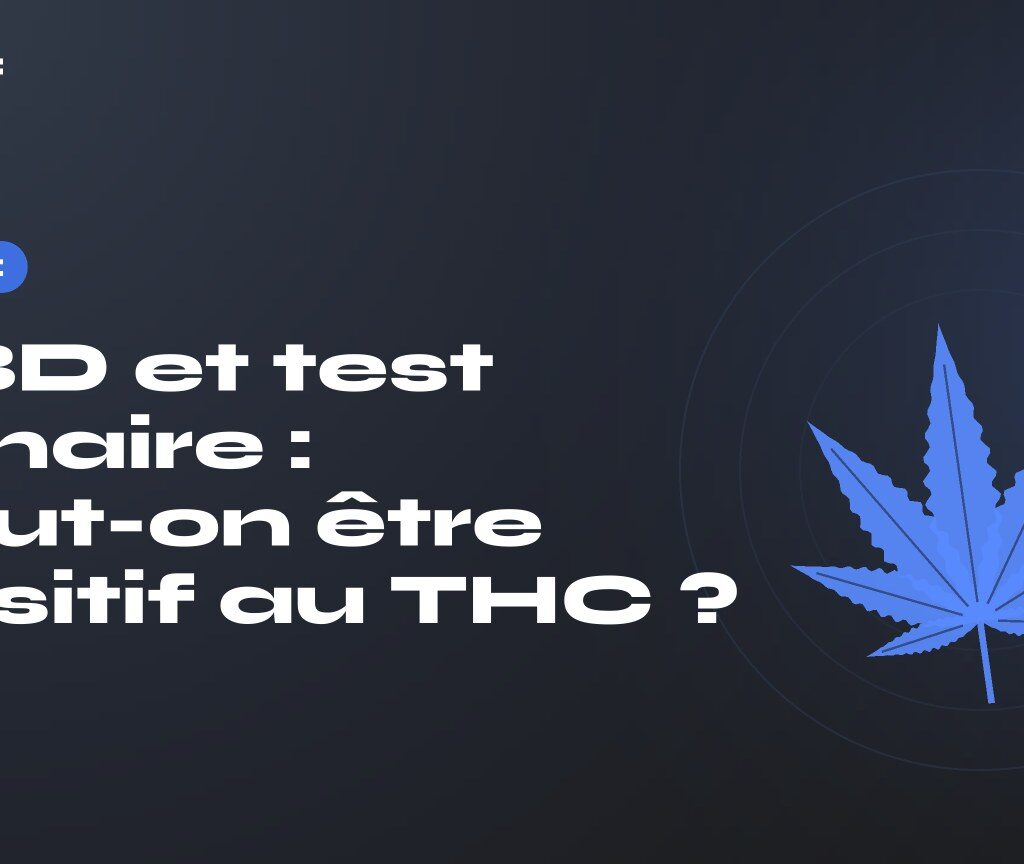 CBD et test urinaire : peut-on être positif au THC ? — titre sur fond sombre, feuille de chanvre stylisée