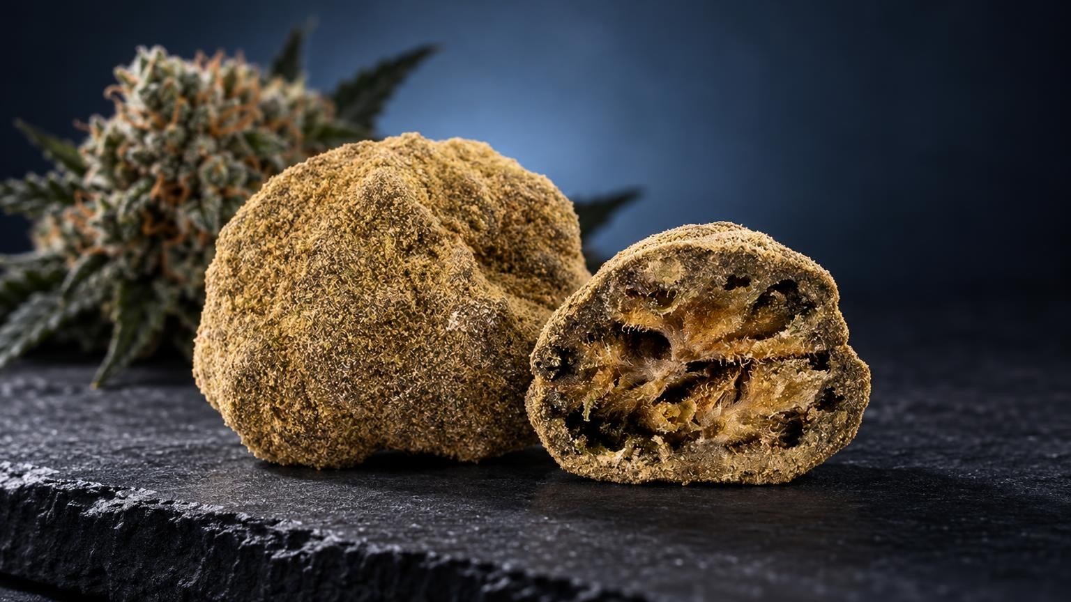 CBG effet : moon Rock CBN à texture granuleuse dorée, entier et tranché en deux, avec fleur de cannabis en arriÚre-plan