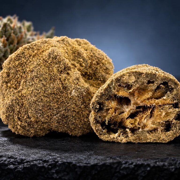 CBN effet : moon Rock CBN doré aux formes arrondies, texture granuleuse et compacte, avec fleur séchée en arrière-plan