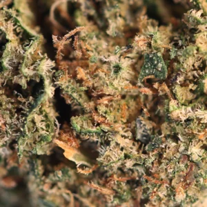 Cosmic Cookie THCX 60% macro