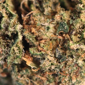 Cosmic Cookie CBD – macro des trichomes et des pistils