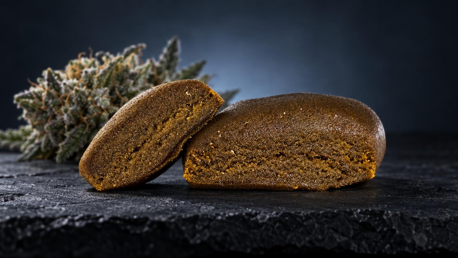 Frozen Hash: golden-brown Piatella Hash with grainy texture beside cannabis flower buds on dark surface