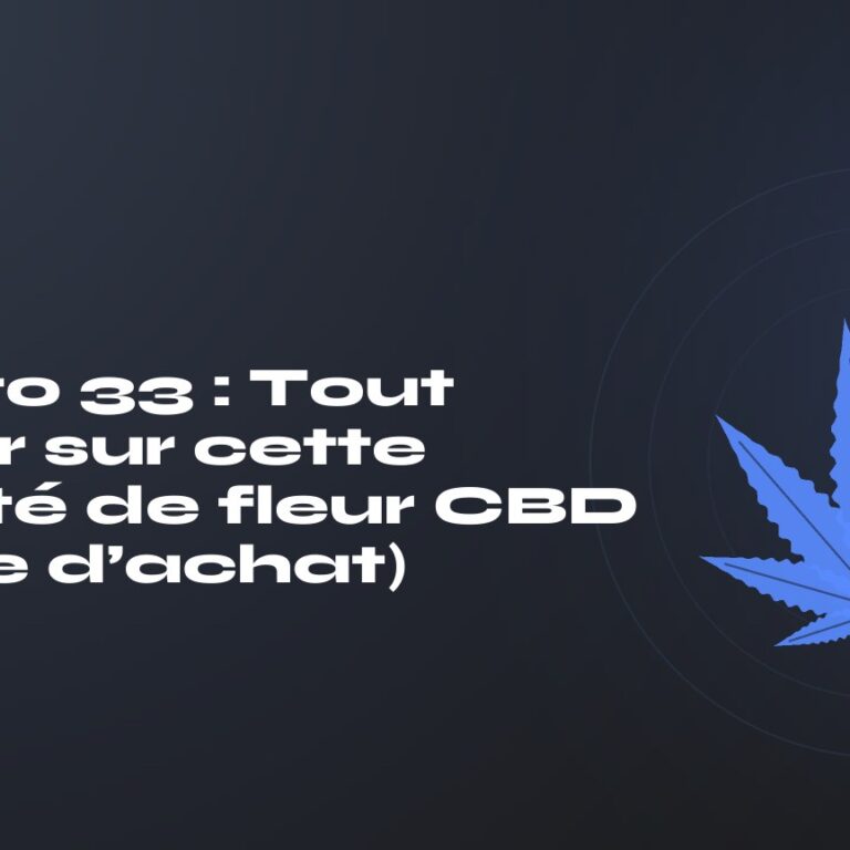 Gelato 33 : Tout savoir sur cette variété de fleur CBD (guide d’achat) — titre sur fond sombre, feuille de chanvre stylisée