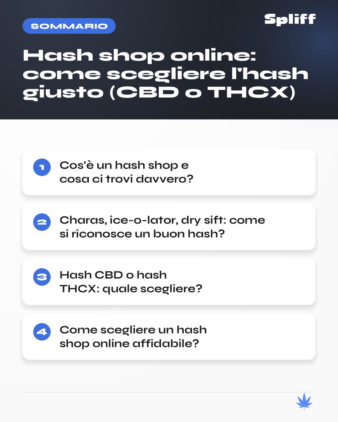 Hash shop: sommario — Cos'è un hash shop e cosa ci trovi davvero?