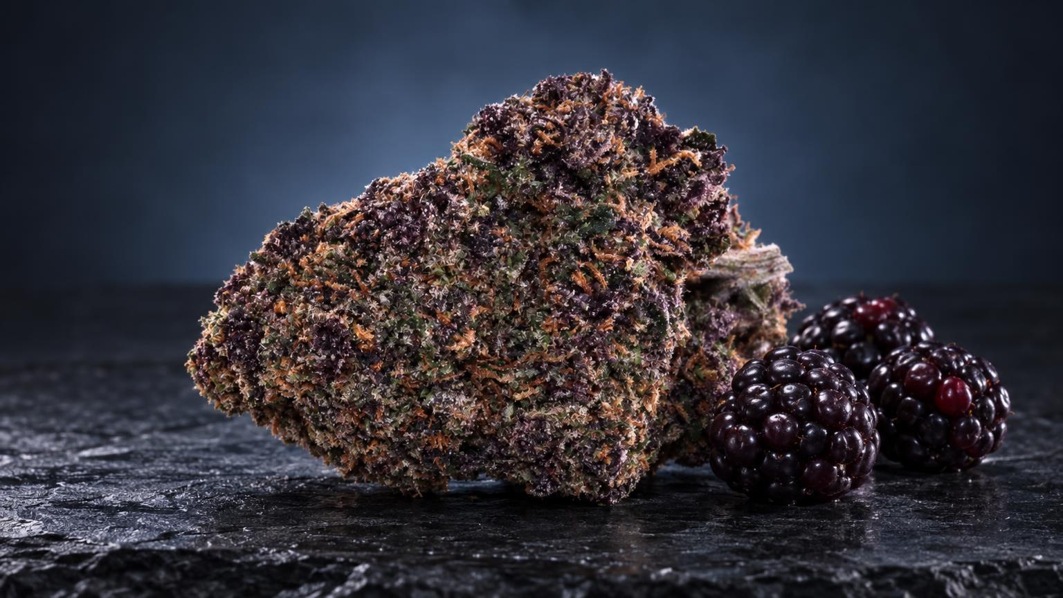 Haze purple: bloem Purple Haze in beeld gebracht