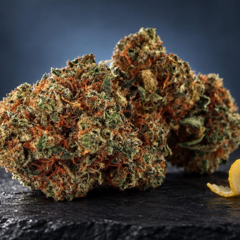 Hazy lemon : fleur Super Lemon Haze dans une composition de studio