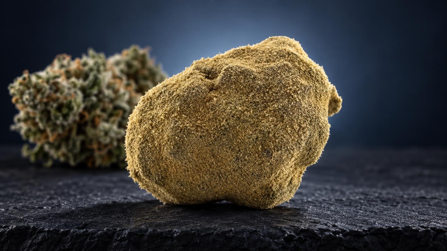 Golden, granular moon rock with crystalline texture next to dried flower buds