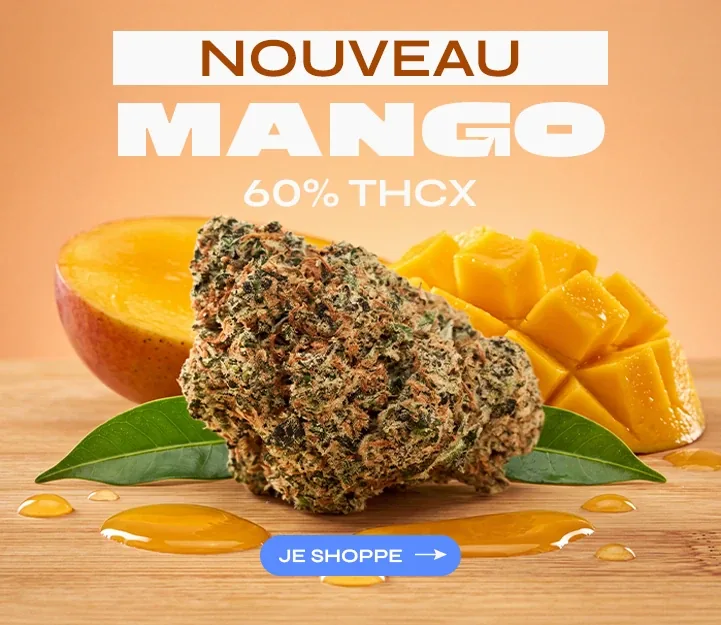 Mango THCX Spliff