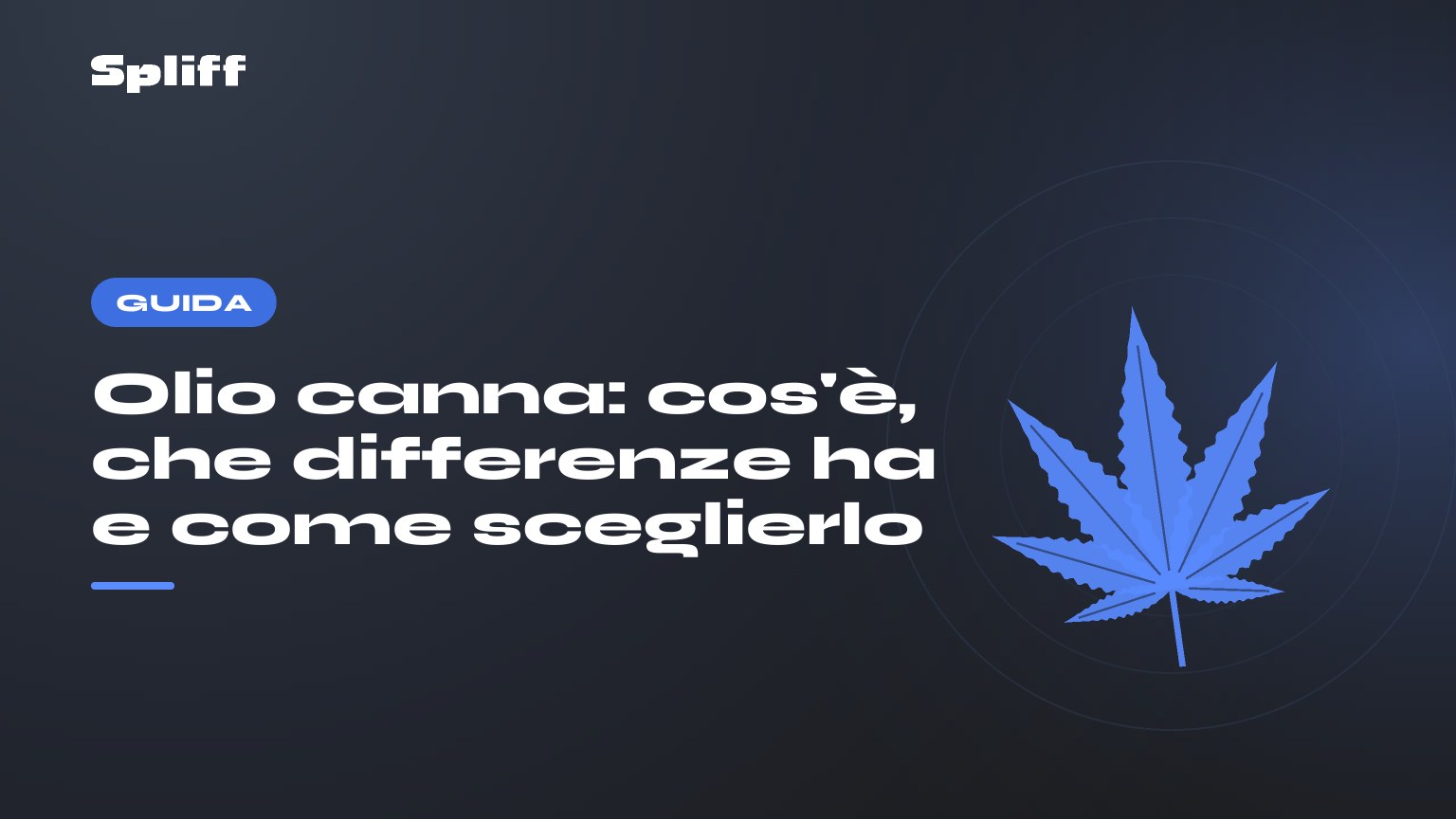 Olio canna: cos'è, che differenze ha e come sceglierlo — titolo su fondo scuro