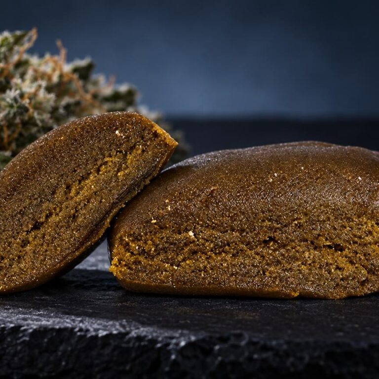 Piatella CBC : piatella Hash brun doré en deux morceaux et fleur séchée, sur fond noir
