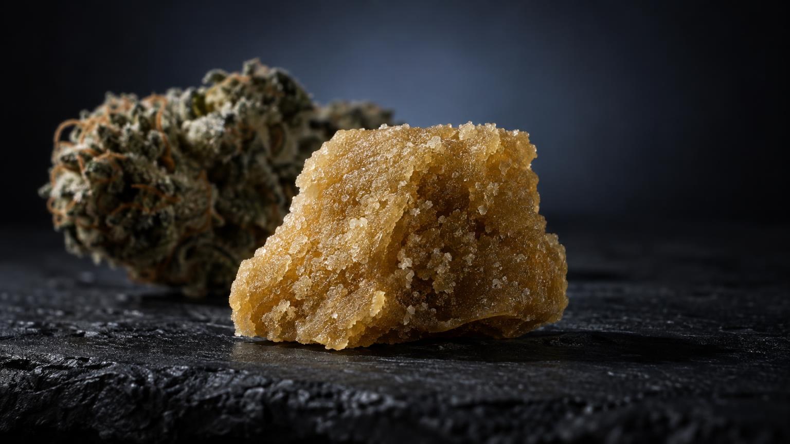 Vue rapprochée à la lumiÚre du jour sur le thÚme Piatella hash THC