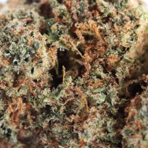 Plutonium CBD – macro des trichomes et des pistils