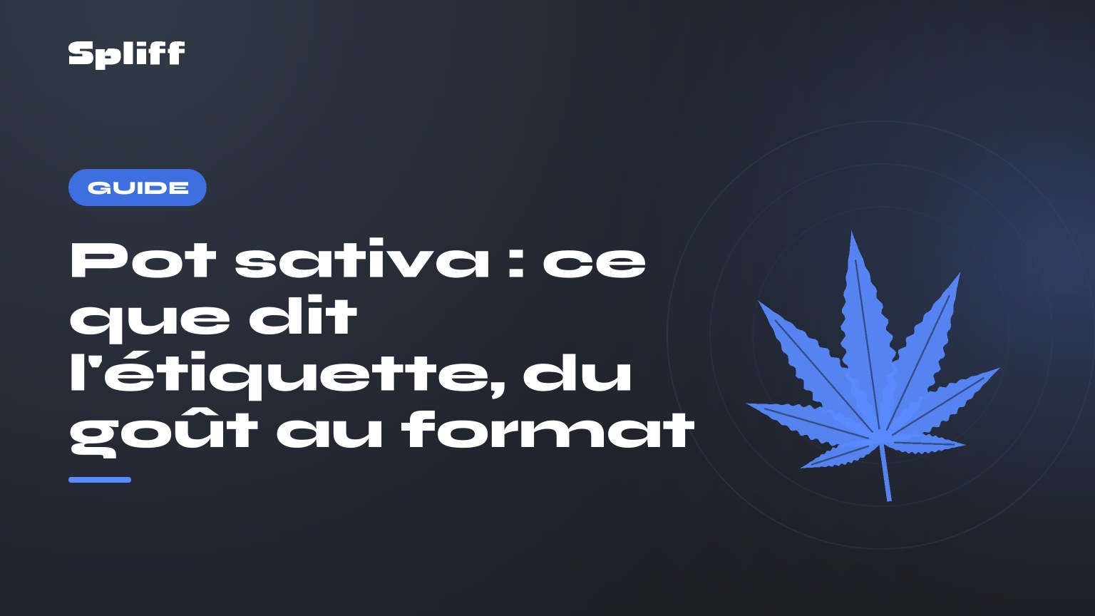 Pot sativa : ce que dit l'étiquette, du goût au format — titre sur fond sombre, feuille de chanvre stylisée