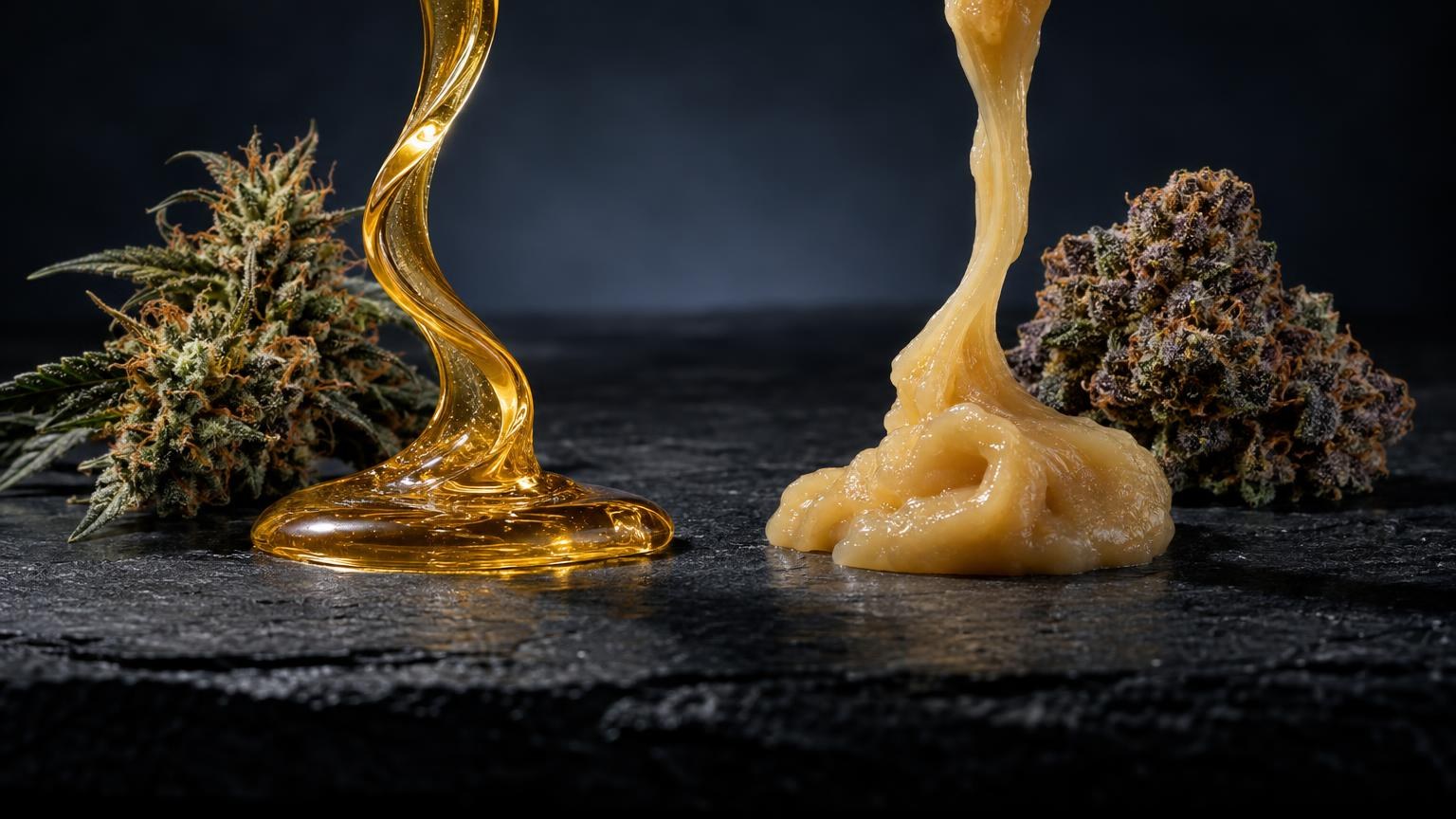Vue rapprochée à la lumière du jour sur le thème Sativa vs indica