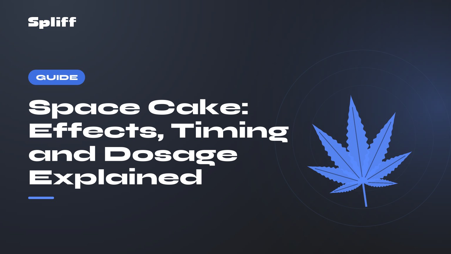 Space Cake: Effects, Timing and Dosage Explained — title on a dark background