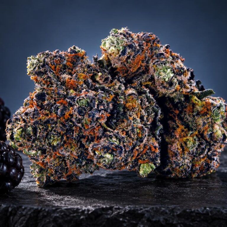 Fleur de Purple Haze aux teintes violettes et orangées, à texture cristalline et compacte, posée près de mûres fraîches