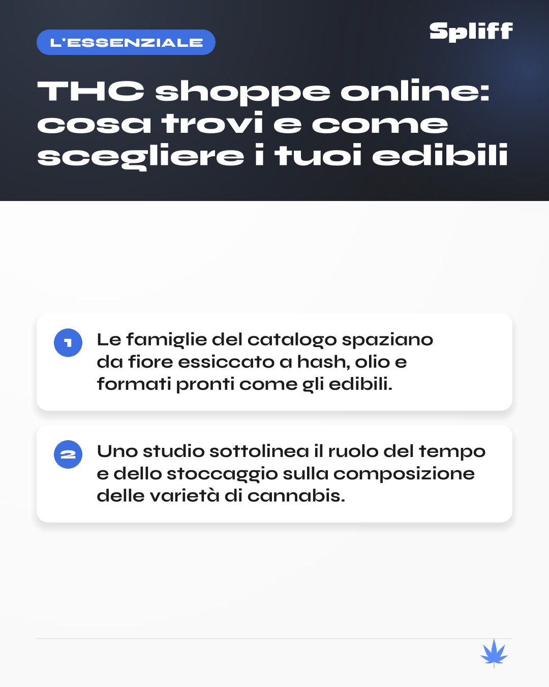 THC shoppe: l'essenziale — Le famiglie del catalogo spaziano da fiore essiccato a hash, olio e formati pronti come gli